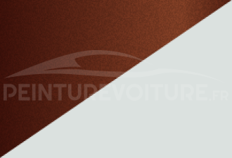 Code peinture Renault YYF 369/90 + Cnz