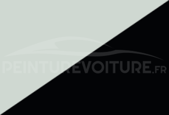 Code peinture Renault YYY 369/90 + 811