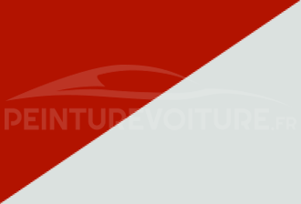 Code peinture Renault YZB 369 + Npt
