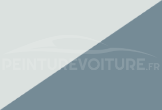 Code peinture Renault YZW 369 + Rqu