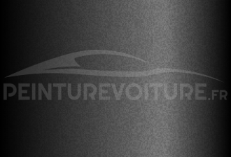 Code peinture Suzuki Z09 Grey