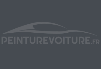 Code peinture Suzuki ZF1 Dark Grey