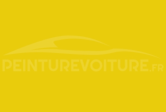 Code peinture Suzuki ZFT Champion Yellow 4