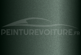 Code peinture Hyundai ZG Moss Green