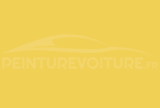 Code peinture Suzuki ZGD Yellow