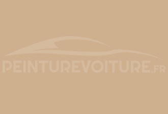 Code peinture Suzuki ZL5 Atlas Beige