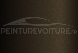Code peinture Suzuki ZQD Cave Black