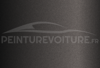 Code peinture Suzuki ZTN Granite Grey